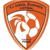 https://img.fygqw.com/img/football/team/5477d301041e00b2de35d5eeea2fabb4.png