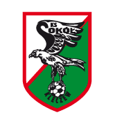 https://img.fygqw.com/img/football/team/e6a8908dd206e2ea02d9803c82c60bba.png